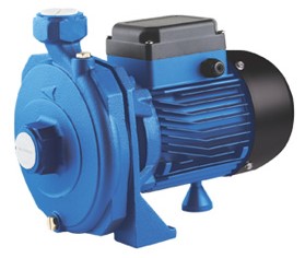 CTS - 6/07M , 0,75 KW,230V,1 Ph, Single impeller,1" X 1"