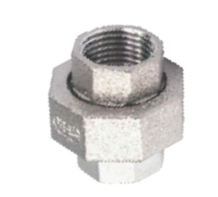 Union Conical Stainless Steel Malleable Fittings 316 S/S